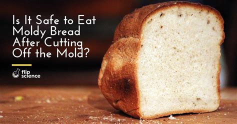 molds in bread in tagalog